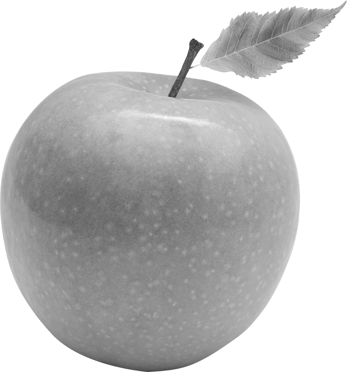 Apples VOCTOS