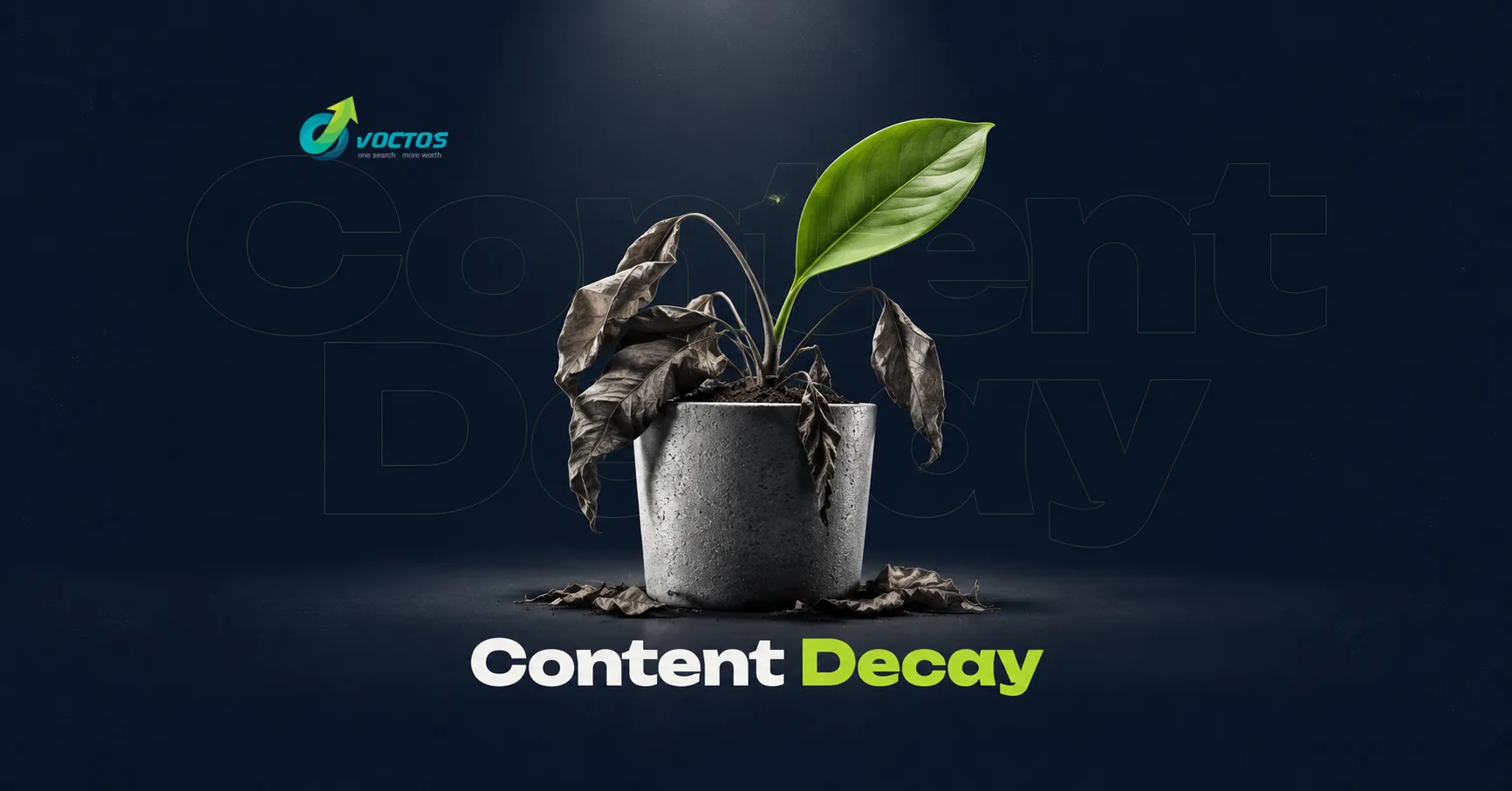 Find Decaying Pages Cover V5